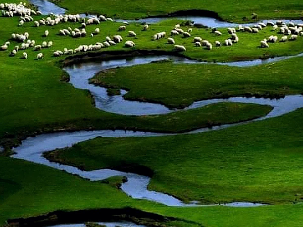 Ordu İdare Mahkemesi, Perşembe/Korgan Yaylaları Yakınındaki Altın Madeni Projesinin Yürütmesini Durdurdu